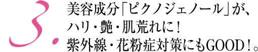 3.美容成分「ピクノジェノール」が、ハリ・艶・肌荒れに!紫外線・花粉症対策にもGOOD!。