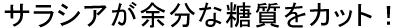 サラシアが糖質の40%をカット!