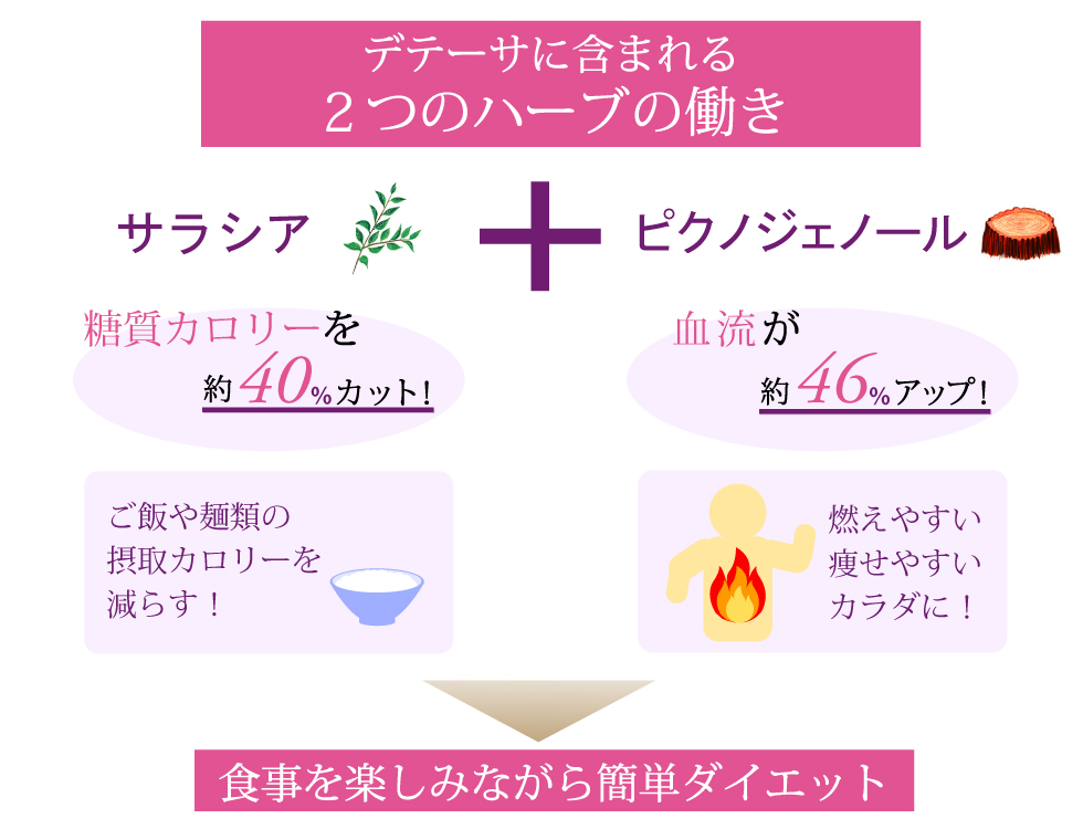 デテーサに含まれる2つのハーブの働き