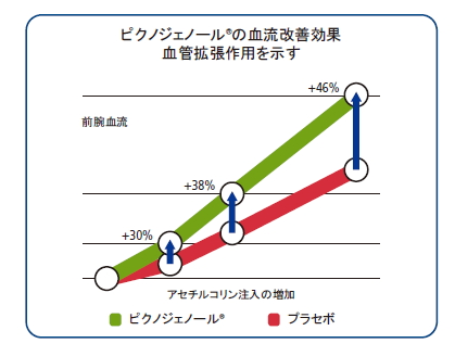 ピクノジェノールの血流改善効果。血管拡張作用を示す。