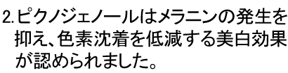 2.ピクノジェノールはメラニンの発生を抑制し、色素沈着を低減します。