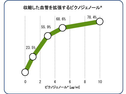 収縮した血管を拡張するピクノジェノール