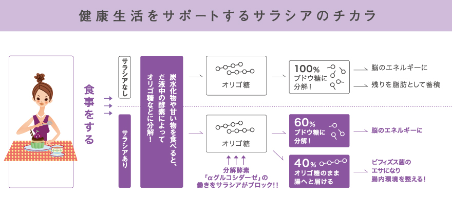 健康生活をサポートするサラシアのチカラ